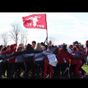 Meet your Posher, Tristam